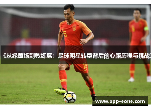 《从绿茵场到教练席：足球明星转型背后的心路历程与挑战》