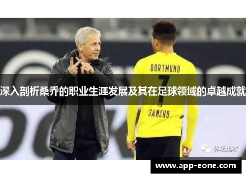 深入剖析桑乔的职业生涯发展及其在足球领域的卓越成就