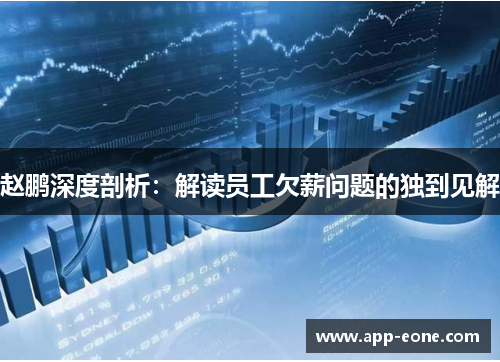 赵鹏深度剖析：解读员工欠薪问题的独到见解