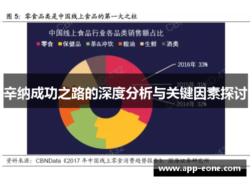 辛纳成功之路的深度分析与关键因素探讨