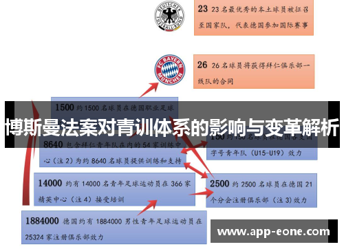 博斯曼法案对青训体系的影响与变革解析