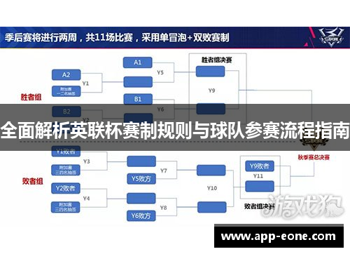 全面解析英联杯赛制规则与球队参赛流程指南 全面解析英联杯赛制规则与球队参赛流程指南